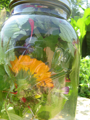 Flowers in Jar