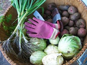 Garden Veggies